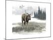 Premium Giclee Print