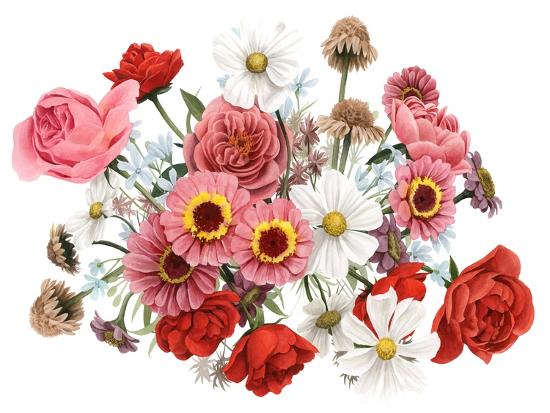 Art Print, , large