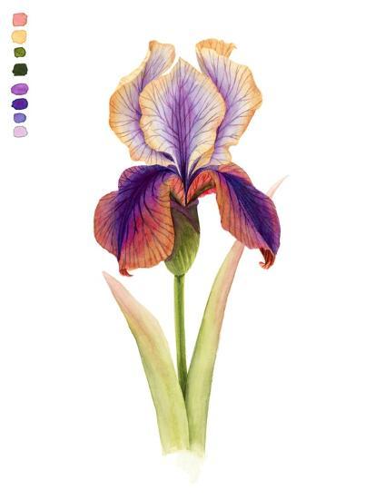 Art Print, , large