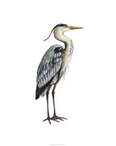 Sea Bird V by Grace Popp