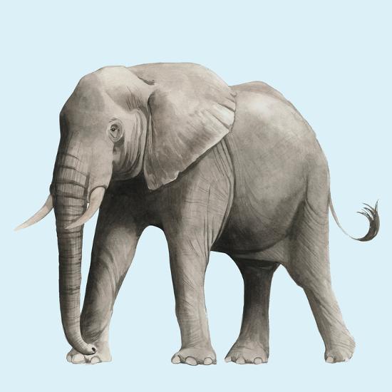 Art Print, , large