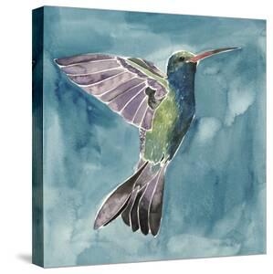 Hummingbirds Canvas Art Prints Paintings Posters Framed Wall
