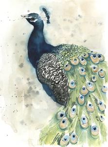 Peacock Wall Art Prints Paintings Posters Art Com Shop for peacock art from the world's greatest living artists. peacock wall art prints paintings
