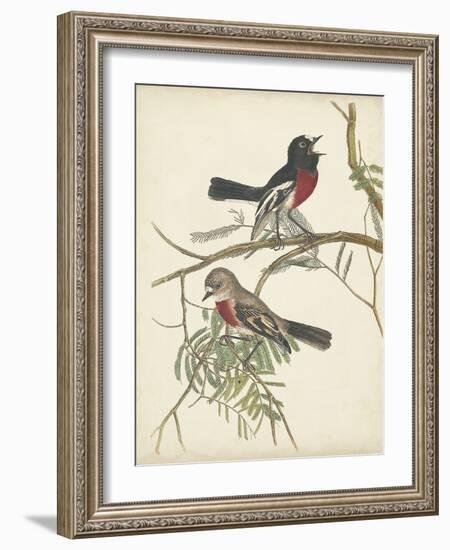 Graceful Birds IV-Vision Studio-Framed Art Print