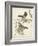 Graceful Birds IV-Vision Studio-Framed Art Print