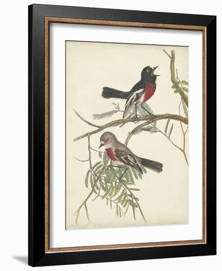 Graceful Birds IV-Vision Studio-Framed Art Print