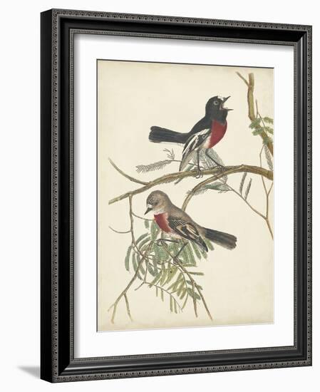 Graceful Birds IV-Vision Studio-Framed Art Print