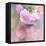 Graceful Floral-Sarah Gardner-Framed Premier Image Canvas