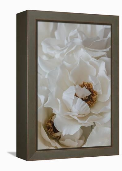 Graceful Flourish - Centre-Irene Suchocki-Framed Stretched Canvas