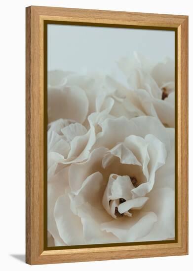 Graceful Flourish - Focus-Irene Suchocki-Framed Stretched Canvas