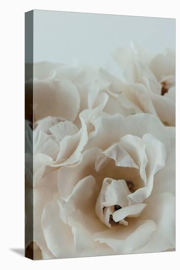 Graceful Flourish - Focus-Irene Suchocki-Framed Stretched Canvas