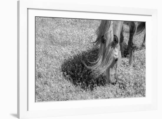 Graceful Grazing-Andrew Geiger-Framed Giclee Print