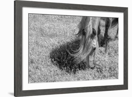 Graceful Grazing-Andrew Geiger-Framed Giclee Print