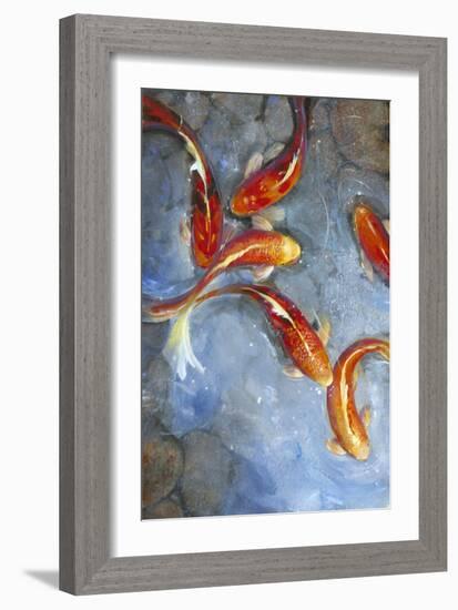 Graceful Koi II-Tim O'toole-Framed Art Print