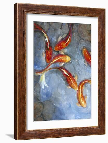 Graceful Koi II-Tim O'toole-Framed Art Print