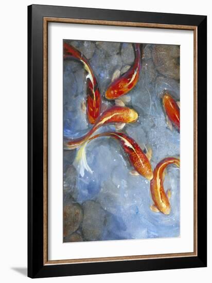 Graceful Koi II-Tim O'toole-Framed Art Print