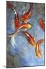 Graceful Koi II-Tim O'toole-Mounted Art Print