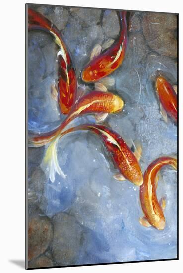 Graceful Koi II-Tim O'toole-Mounted Art Print