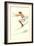 Graceful Lady Skiing Moguls-null-Framed Art Print