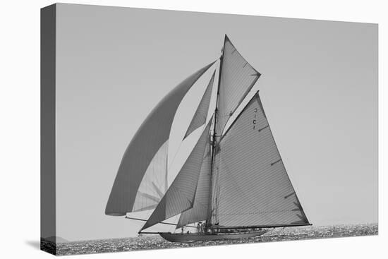 Graceful Navigation-Ben Wood-Framed Stretched Canvas