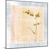 Graceful Orchids II-Cheri Blum-Mounted Art Print