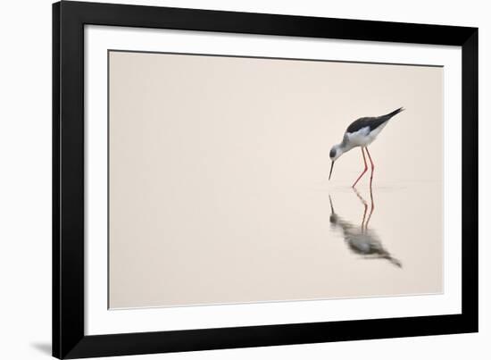 Graceful Reflection-Staffan Widstrand-Framed Giclee Print