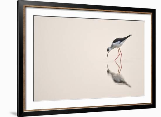 Graceful Reflection-Staffan Widstrand-Framed Giclee Print