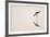 Graceful Reflection-Staffan Widstrand-Framed Giclee Print