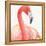 Gracefully Pink II-Lisa Audit-Framed Stretched Canvas