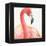 Gracefully Pink II-Lisa Audit-Framed Stretched Canvas