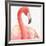 Gracefully Pink II-Lisa Audit-Framed Art Print