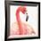 Gracefully Pink II-Lisa Audit-Framed Art Print