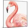 Gracefully Pink III-Lisa Audit-Mounted Art Print