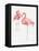 Gracefully Pink X-Lisa Audit-Framed Stretched Canvas