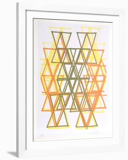 Gradation I-Leo Bates-Framed Limited Edition