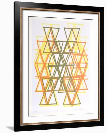 Gradation I-Leo Bates-Framed Limited Edition