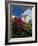 Gradil Near Lisbon, Portugal-John Miller-Framed Photographic Print