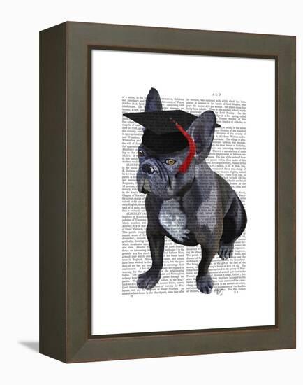 Graduation French Bulldog-Fab Funky-Framed Stretched Canvas