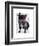 Graduation French Bulldog-Fab Funky-Framed Art Print