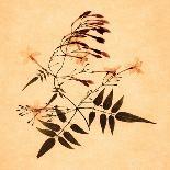Rowan Leaves-Graeme Harris-Premier Image Canvas