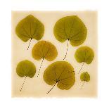 Rowan Leaves-Graeme Harris-Giclee Print