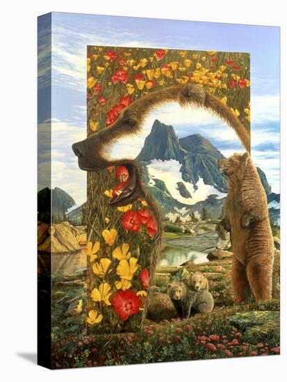 Stretched Canvas Print, , large