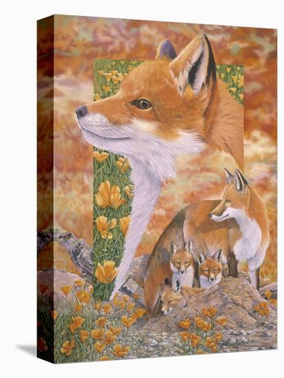 Stretched Canvas Print, , large