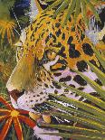 Jaguar Jungle-Graeme Stevenson-Giclee Print