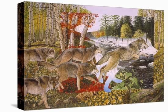 Stretched Canvas Print, , large