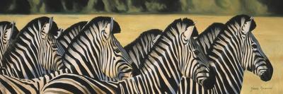 Zebra Days-Graeme Stevenson-Giclee Print