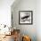 Graf Zeppelin-null-Framed Giclee Print displayed on a wall