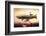 Graf Zepplin Fantasy Dirigible-null-Framed Premium Giclee Print