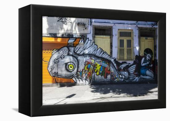 Graffiti Art Work on Houses in Lapa, Rio De Janeiro, Brazil, South America-Michael Runkel-Framed Premier Image Canvas