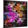 Graffiti Brick Wall-Eky Studio-Mounted Art Print